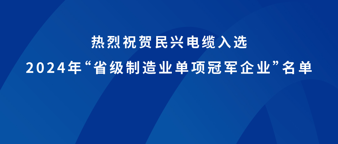 918博天堂荣获广东省制造业单项冠军！