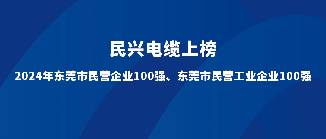 918博天堂位列第15位！2024年东莞市民营工业企业100强榜单发布